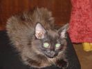 DSC01286.JPG
