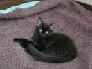 DSC01326.JPG
