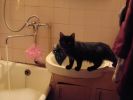 DSC01340.JPG