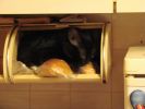 DSC01350.JPG