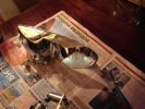 DSC04492.JPG