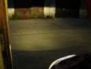 DSC04547.JPG