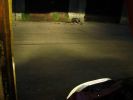 DSC04548.JPG
