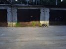 DSC04549.JPG