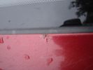 DSC07063.JPG
