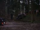 DSC00817.jpg