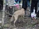 DSC05072.JPG