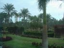 DSC00524.JPG