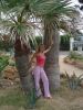 DSC00535.JPG