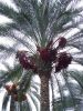 DSC00544.JPG