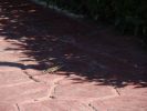 DSC00641.JPG