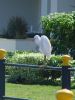 DSC00643.JPG