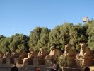 DSC00720.JPG