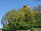 DSC01512.JPG