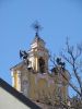DSC01526.JPG