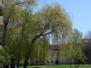 DSC01540.JPG