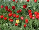 DSC01548.JPG