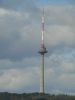 DSC01572.JPG
