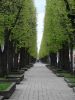 DSC01581.JPG