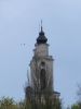 DSC01616.JPG