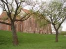 DSC01637.JPG