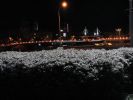 DSC01696.JPG
